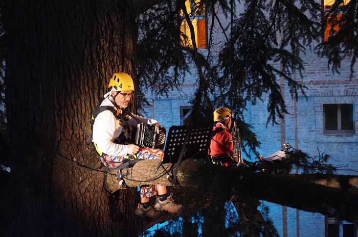 3cdc2420f3a84a2fea798991f77b8631